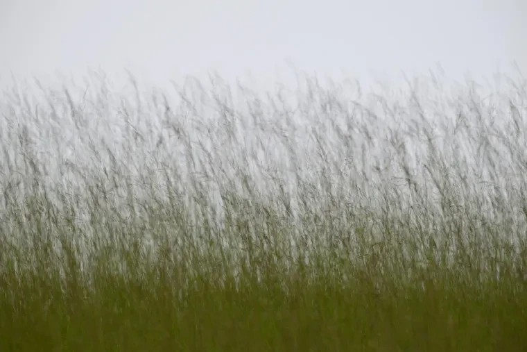 Atelier Natur – Frühling