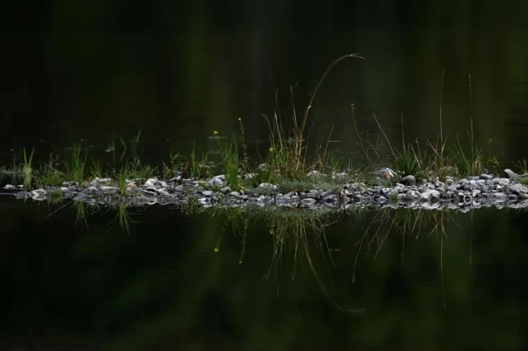 Atelier Natur – See, Spiegelung, Herbst